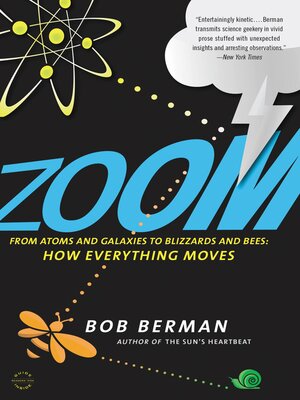 Zoom - ebook